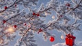 The night before Christmas, magical snow-covered trees stand in the forest. Frost in the woods on Christmas Eve, generated AI Royalty Free Stock Photo