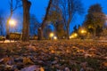 Night city park. Wooden benches, street lights Royalty Free Stock Photo