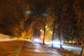 Night city traffic blurred lights headlight road trees autumn lights fanlights lighting cars foliage bush glare background Royalty Free Stock Photo