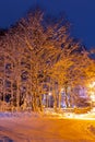 Night city winter park under snowfall with trees covered with frost and snow - night winter snowy landscape. Orange evening winter Royalty Free Stock Photo