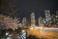 Night cityscape with cherry blossom, park, tail lights and buildings background. Vancouver BC Canada