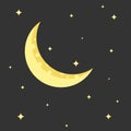 Night crescent moon and stars vector