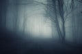 Night in a dark forest with blue fog in autumn Royalty Free Stock Photo