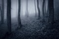 Night in a dark forest with fog trough trees Royalty Free Stock Photo