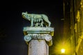 night detail of symbol of rome: she-wolf breastfeeding romulus and remus...IMAGE Royalty Free Stock Photo