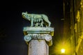 night detail of symbol of rome: she-wolf breastfeeding romulus and remus...IMAGE