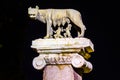 night detail of symbol of rome: she-wolf breastfeeding romulus and remus...IMAGE Royalty Free Stock Photo