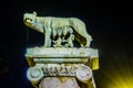 night detail of symbol of rome: she-wolf breastfeeding romulus and remus...IMAGE Royalty Free Stock Photo