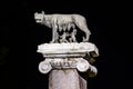 night detail of symbol of rome: she-wolf breastfeeding romulus and remus...IMAGE Royalty Free Stock Photo