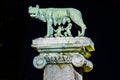 night detail of symbol of rome: she-wolf breastfeeding romulus and remus...IMAGE