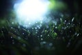 Night dew on the grass Royalty Free Stock Photo