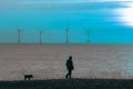 Night dog walker. Solitary beach dog walk at twilight with offshore wind farm turbines