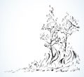 Burning forest. Vector drawing sketch Royalty Free Stock Photo