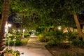 Night and empty footpath through the village in the jungle forest. Lots of greenery, wooden houses. Lamps from wood on long palm