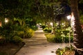 Night, empty footpath through the village in the jungle. Lots of greenery, wooden houses. Lamps from wood on long palm trees