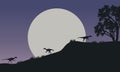 At night Eoraptor in hills scnery silhouette Royalty Free Stock Photo