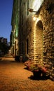 Night evening scene at Toronto Distillery District in summer time. Narrow cobblestone alley with flowers in pots.