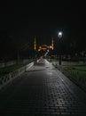 Night evening view of the Sultanahmet Blue Mosque with minarets in Istanbul Royalty Free Stock Photo