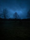 Night Fall Dark Clouds Trees Blue
