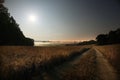 Night field with fog