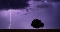 The night is filled with the echoes of distant thunder, adding to the atmosphere of foreboding. Royalty Free Stock Photo