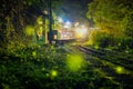 At night, fireflies fly around on the railway tracks in the mountains. Royalty Free Stock Photo