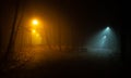 Night at the foggy park crossing of pathways