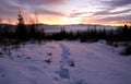 Night footprints in snow on mountain medow Royalty Free Stock Photo