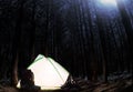 Night forest with backpack gear and lightened tent. Royalty Free Stock Photo