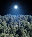 Night forest on Christmas night. The star of Jesus. Background of the beautiful dark blue sky and bright star Royalty Free Stock Photo