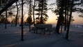 At night in the forest on the snowy river Bank in winter Royalty Free Stock Photo