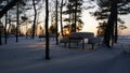 At night in the forest on the snowy river Bank in winter Royalty Free Stock Photo