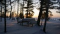 At night in the forest on the snowy river Bank in winter Royalty Free Stock Photo