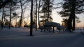 At night in the forest on the snowy river Bank in winter Royalty Free Stock Photo