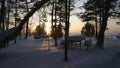 At night in the forest on the snowy river Bank in winter Royalty Free Stock Photo