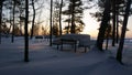 At night in the forest on the snowy river Bank in winter Royalty Free Stock Photo