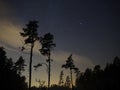 Night sky stars over forest and trees
