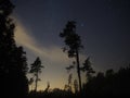 Night sky stars over forest and trees