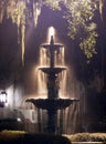 Night Fountain Royalty Free Stock Photo
