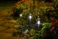 Night garden lights