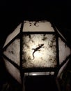 Night gecko silhouette on the lamp