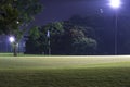 Night Golf Royalty Free Stock Photo