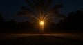 Night Illumination: A Lone Lamp Underneath a Palm Tree in the Dark Royalty Free Stock Photo