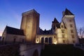 Castle of the king Henri 4 in Pau city, France Royalty Free Stock Photo