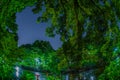 Night of the Inokashiro Park Royalty Free Stock Photo