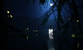 night lake. Mermaid, fireflies. Lake and forest