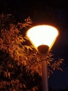 Night lamp light tree Royalty Free Stock Photo