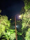 Night lamp with tree sky dark Royalty Free Stock Photo