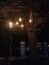 Night lamp under the tree Royalty Free Stock Photo