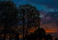 Night landscape, against the background of the city and trees at sunset. Nature. Royalty Free Stock Photo